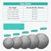 RITHIOX Exercise Ball Yoga Ball 26 Gray - Anti-Slip Stability Ball for Pregnancy Birthing, Anti-Burst Workout Ball with Quick Pump - Perfect for Office, Home, Gym - Buy Online on GoSupps.com