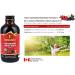 Immunia Urinary Health. Prevent Urinary Tract Infection (Women & Men). Cranberry & Elderberry Concentrate. Natural Antioxidant. Delicious Taste. 5 ml/day. Made in Canada (3-pack) 1 count (Pack of 3) - Buy Online on GoSupps.com