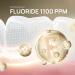 Premium Care Toothpaste (Postbiotic Gum Protection + Enamel Care) 100g - Buy Online on GoSupps.com