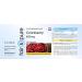Cranberry Capsules 1200mg - High Dose 5x Concentrate Vegan 120 Capsules No Magnesium Stearate - Premium Quality for Optimal Health - Buy Online on GoSupps.com