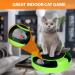 ZENO Cat Kitten Game - Catch The Mouse | Moving Toy Game for Cats & Kittens | Claw Scratching Toy with Mouse | Great Toy for Cats Indoors - Buy Online on GoSupps.com