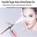 Oxygen Injection Device High-Pressure Oxygen-Assisted Nano-Spray Water Replenishment Household Spray Gun Handheld Type Water Oxygen Meter Beauty Salon Portable Gifts for Women - Buy Online on GoSupps.com