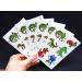 Premium Reptile Temporary Tattoos - Crocodile, Turtle, Frog, Chameleon, Komodo Dragon, Snake | Party Favors - Buy Online on GoSupps.com