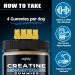 Buy Sugar Free Creatine Monohydrate Gummies (5000mg) | 120 Count for Muscle Support & Energy - Pineapple Flavor - International Shipping - Buy Online on GoSupps.com