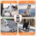 Slowton Dog Shoes - Breathable Paw Protection Boots for Small Medium & Large Dogs | Non-Slip Sole & Reflective Velcro Fasteners | Size 3 (5 cm Width) | 4 Pieces - Buy Online on GoSupps.com
