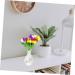 Ciieeo Desktop Decor Office Plants Hydroponics Holder Vase Table Container Decorative Desk Home Delicate White 7X13CM - Buy Online on GoSupps.com
