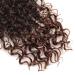 MeliSay 5 Packs Box Braids Crochet Hair Extensions - 35.6 cm Synthetic Afro Kinky Braiding Hair for Black Women | Curly Passion Twist & Goddess Faux Locs - T30 - Buy Online on GoSupps.com