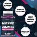 Primetime Sports Quercetin + Zinc + Vitamin C 1000mg Gummies with Elderberry - Immunity Booster for Kids & Adults - Vegan - 2 Pack (120 Gummies) - Buy Online on GoSupps.com
