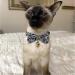 Necoichi Kiku Ribbon Bow Tie Cat Collar in Navy - Stylish and Comfortable - Buy Online on GoSupps.com