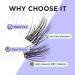 Buy Beyelian C Curl Cluster Eyelashes | 48 PCs DIY Individual Lashes | Super Thin Black Band | Luxury 0.07mm 12mm Extensions - Buy Online on GoSupps.com