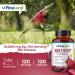 FineLand Beet Root Capsules | Blood Pressure Support 10 000mg Equivalent per Serving | 20:1 Extract 120 Vegan Capsules Immune System Circulation & Heart Health Non GMO Made in USA - Buy Online on GoSupps.com