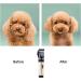 Professional Cordless Dog & Cat Hair Clippers with Detachable Blades and Guards - Rechargeable & Quiet - Ideal for Small Animals - Gold - Buy Online on GoSupps.com
