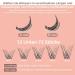 Individual Eyelash Cluster Lashes - C Curl Mix 8-16mm - 72 Stck for DIY Extensions | Honey 02-C Mix - Buy Online on GoSupps.com