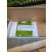 Duckweed Floating Live Plant for Aquarium Garden Pond Duck Weed - Buy Online on GoSupps.com