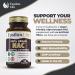 NAC 600mg Vegan Supplement - N-Acetyl-Cysteine Capsules for Glutathione Boost - 90 Caps - Made in UK, No Fillers - Buy Online on GoSupps.com