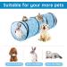 WH Cat Tunnels for Indoor Cats - Collapsible Tube Toy & Interactive Play Tent in Blue - Buy Online on GoSupps.com