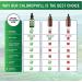 Chlorophyll Liquid Drops - Natural Energy Booster & Immune Support - Internal Deodorant & Detox - Fast Absorption - Vegan & Non-GMO - 120 Servings - 6000MG - Buy Online on GoSupps.com