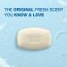 Lever 2000 Perfectly Fresh Bar Soap - 16 Count Pack for Refreshing Cleanliness - Buy Online on GoSupps.com