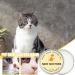 Rasoli Itching Cream for Dogs - Moisture Balm for Puppies & Dogs | 30g Healing Relief & Hydration - Buy Online on GoSupps.com