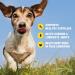 Glucosamine for Dogs Soft Chews 120 ct - Hip and Joint Supplement with Chondroitin, Turmeric, MSM - Vitamin E for Small, Large Breed & Senior Dogs - Mobility Support - 120 Count - Buy Online on GoSupps.com