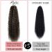 30-Inch Thick Curly Drawstring Ponytail Extensions - Chocolate Brown & Honey Blonde Highlights - Buy Online on GoSupps.com