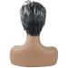 Shop Ombre Silver Grey Short Straight Synthetic Wig - Natural-Like Gradient Party Wig for Women - Buy Online on GoSupps.com