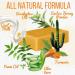 Turmeric Soap Bar for Face & Body - Brightens Skin, Reduces Acne, Fades Scars - 4oz Bar for All Skin Types - Buy Online on GoSupps.com
