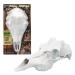 Mountain Mike's Reproductions Skull Master - Universal Antler Mounting Kit - European-Style Mount Kit for Antlers - Fits Most Antlers - Compatible with Harvested and Shed Antlers - White Natural