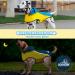 Buy Waterproof Rain Jacket for Dogs | Adjustable Reflective Dog Coat | Ultra-Light Rain Cape for Small Medium & Large Pets - Yellow & Blue - Buy Online on GoSupps.com