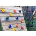 KINSPORY 10Pc Colourful Pig Nose Shape Kids Rock Climbing Holds with Blue Handles - Playground Set with Mounting Hardware - Buy Online on GoSupps.com
