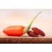 Buy Premium Organic Goji Berries from Tibet - High-Quality Dried Superfood Freshly Packaged Daily 250g Hand Made in Germany - Buy Online on GoSupps.com