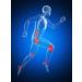 Vital Earth Minerals Vital Joint Support 32 Fl Oz | Natural Joint Health Supplement - Buy Online on GoSupps.com