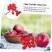 HOMSFOU 5pcs String Simulated Cherry Tomatoes Realistic Cherry Toys Simulation Cherry Tomatoes Artificial Tomatoes Faux Cypress Garland Fake Peaches Fake Cherries Child Pvc Fake Food Fruit Redx5pcs 18X16CMx5pcs - Buy Online on GoSupps.com