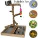 Tfwadmx Natural Wood Bird Perch Stand Toy for Parrots - Platform Play Stand for Parakeets, Canaries, Cockatiels, Conures, Lovebirds - Buy Online on GoSupps.com
