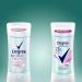 Degree MotionSense Sheer Powder Antiperspirant Deodorant 2.6 oz - Buy Online on GoSupps.com