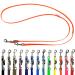 Biothane dog linen small dogs / large dogs adjustable 2m / 2.40m / 2.80m / 3.50m / 5m silver hook 9mm / 13m m / 16mm (2m x 9mm orange) 2m x 9mm orange