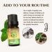 Ecodrop Melissa Lemon Balm Essential Oil - 5ml | 100% Natural Therapeutic Grade French Melissa Officinalis Oil | Aromatherapy Diffuser & Bath Oil for Calm Stress Sleep & Mental Clarity | Organic Organic Melissa - Buy Online on GoSupps.com