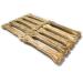 Bontoy Dog Bone - 10 Pieces x 21 cm | Natural Beef Skin Treat | Protein-Rich Chew for Strong Dog Muscles - Buy Online on GoSupps.com