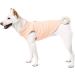 Gooby Fleece Vest Dog Sweater - Lime Large | Warm Pullover Jacket for Small Dogs | O-Ring Leash | Winter Coat for Cold Weather | Boy/Girl - Buy Online on GoSupps.com