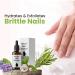 Nourishing Tea Tree and Vitamin E Nail Solution with Keratin - Growth, Strength, Repair, Cuticle Care - Buy Online on GoSupps.com