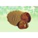 India's Creation Bel Giri Powder 50g - Aegle Marmelos Raw Herb for Bael Phal - Beal Fruit Dry - Wood Apple Jadi Booti - Single Herb Pack - Buy Online on GoSupps.com
