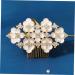 Didiseaon Hair Comb Bride Accessories Hair Accessory for Girls Hair Clips for Girls Hair Accessories for Women Floral Decorations Tiara Bride Headpiece Crystal Metal Miss Headband - Buy Online on GoSupps.com
