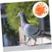 100 pcs Xuan Feet Charms Colorful Hen Leg Drumstick Number Products Stuff Identification Pigeons 1.3X1.3CM Orange - Buy Online on GoSupps.com