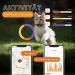 Weeneect XS Mini GPS Tracker for Cats | Real-Time GPS Tracking | Smallest Model | Unlimited Distance | Collar Included | 2023 - Buy Online on GoSupps.com