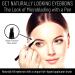 BELLA BROW Microblading Eyebrow Pen - Smudge Proof, Waterproof & Long Lasting (Brown) | Precision Applicator | As Seen On TV - Buy Online on GoSupps.com