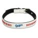 Pets First MLB Dog Collar New Signature PRO PVC-Leather Premium Pet Collars Extra Tough & Durable! Super Stylish! Medium Los Angeles Dodgers