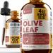Rejuvica Health Active Olive Leaf 4oz XL Super Size Tincture - Advanced Olive Leaf Liquid Extract - Naturally Occurring Oleuropein - Immune & Heart Support Drops 4 Fl Oz (Pack of 1)