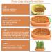 Yidm Cat Grass Germs - 2 Pack Carrot Shaped Cat Grass Planting Box | Hydroponic Indoor Garden Kit for Cats & Dogs - Buy Online on GoSupps.com