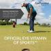 EyePromise Screen Shield Pro - 30 Softgel Capsules with Vitamins A, C, D3, E, B6, B12, Zinc, Folic Acid, Selenium, Omega-3 Fish Oil, Bilberry Extract, Zeaxanthin for Eye Health - Buy Online on GoSupps.com