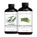 Brooklyn Botany Lemon Eucalyptus & Eucalyptus Essential Oils 4 Fl Oz (Pack of 2) 100% Pure & Natural Deeply Refreshing Aromatherapy Blend